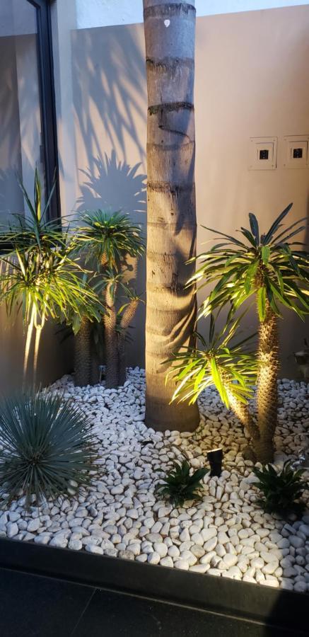 Condesa Cibel Leilighet Mexico by Eksteriør bilde
